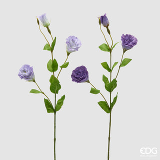 EDG Enzo De Gasperi Set 2 Rami di Lisiantus H71 cm Viola e Lilla