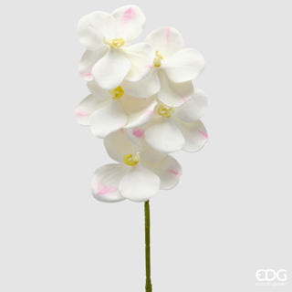EDG Enzo De Gasperi Ramo Artificiale di Orchidea Vanda H65 cm Bianco