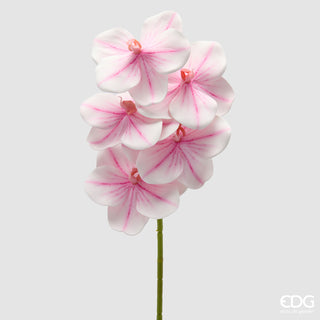 EDG Enzo De Gasperi Ramo Artificiale di Orchidea Vanda H65 cm Sfumato Rosa