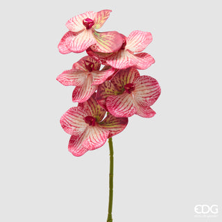 EDG Enzo De Gasperi Ramo Artificiale di Orchidea Vanda H65 cm Rosa