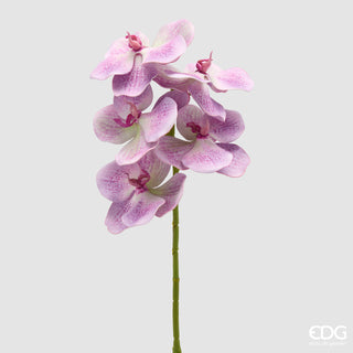 EDG Enzo De Gasperi Ramo Artificiale di Orchidea Vanda H65 cm Lilla