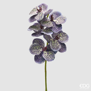 EDG Enzo De Gasperi Ramo Artificiale di Orchidea Vanda H65 cm Viola Scuro