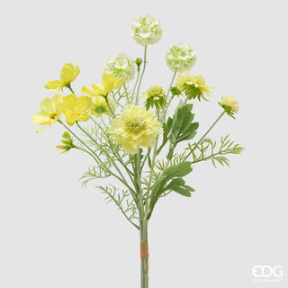 EDG Enzo De Gasperi Cespuglio Scabiosa H62 cm Giallo