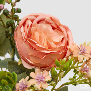 EDG Enzo De Gasperi Cespuglio Rosa H33 cm Salmone