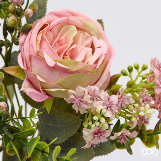 EDG Enzo De Gasperi Cespuglio Rosa H33 cm Rosa