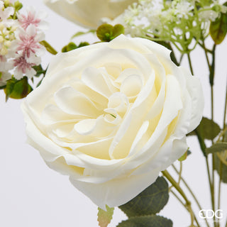 EDG Enzo De Gasperi Cespuglio Rosa H40 cm Avorio