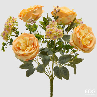 EDG Enzo De Gasperi Cespuglio Rosa H40 cm Giallo