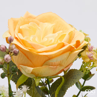 EDG Enzo De Gasperi Cespuglio Rosa H40 cm Giallo