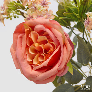 EDG Enzo De Gasperi Cespuglio Rosa H40 cm Arancio