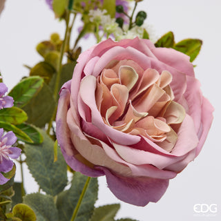 EDG Enzo De Gasperi Cespuglio Rosa H40 cm Lilla