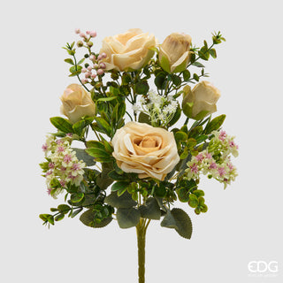 EDG Enzo De Gasperi Cespuglio Rosa H38 cm Champagne