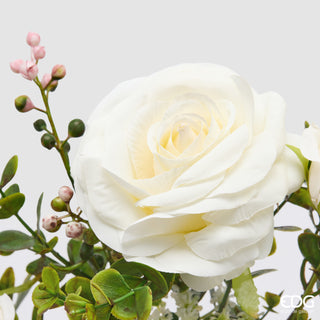 EDG Enzo De Gasperi Cespuglio Rosa H38 cm Avorio