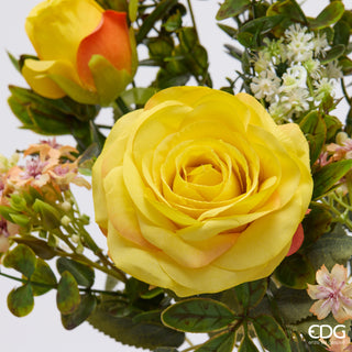 EDG Enzo De Gasperi Cespuglio Rosa H38 cm Giallo