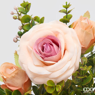 EDG Enzo De Gasperi Cespuglio Rosa H38 cm Rosa