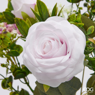 EDG Enzo De Gasperi Cespuglio Rosa H38 cm Rosa