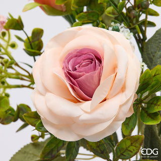 EDG Enzo De Gasperi Cespuglio Rosa H38 cm Salmone