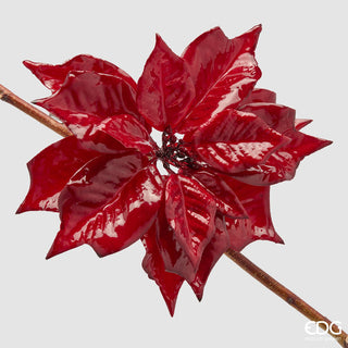 EDG Enzo De Gasperi Kerstster Glossy Clip D23 cm