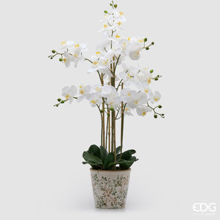 EDG Enzo De Gasperi Orchidea Phalaenopsis x8 con Bocciolo e Vaso H90 cm