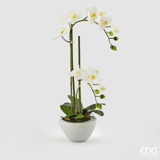 EDG Enzo De Gasperi Phalaenopsis Orchid 6 flowers H64 cm White