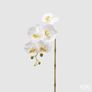 EDG Rama Orquídea Phalaenopsis Enzo De Gasperi 3d x5 Al.70 cm Blanco