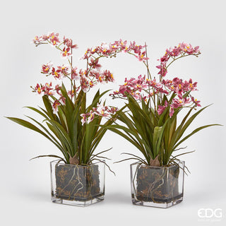 EDG Enzo De Gasperi Phalaenopsis Orquídea 6 flores H64 cm Blanco