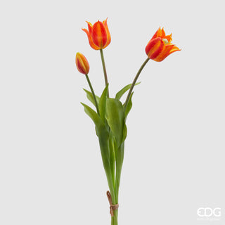 EDG Enzo De Gasperi Tulip Olis Fiorito 3 Flowers H48 cm Shaded Orange
