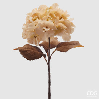 EDG Enzo De Gasperi Hydrangea Olis branch with leaves H50 cm Champagne