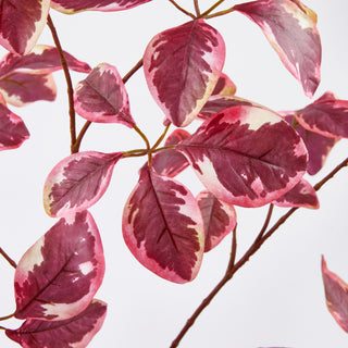 EDG Enzo De Gasperi Ramo Artificiale di Betulla H103 cm Rosa