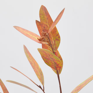 EDG Enzo De Gasperi Ramo Artificiale di Eucalipto H82 cm