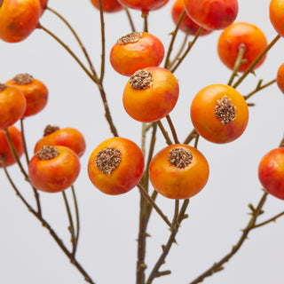 EDG Enzo De Gasperi Ramo di Bacche H60 cm Arancio