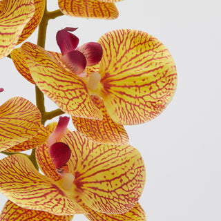 EDG Enzo De Gasperi Ramo di Orchidea Phalaenopsis H94 cm Giallo