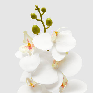 EDG Enzo De Gasperi Ramo di Orchidea Phalaenopsis H94 cm Bianco