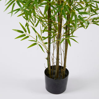 EDG Enzo De Gasperi Pianta Bamboo con vaso H 150 cm Verde Natural
