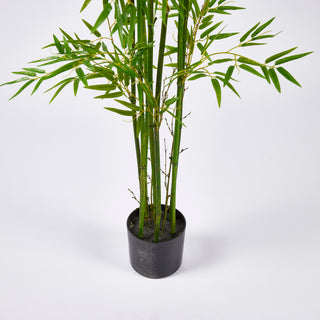 EDG Enzo De Gasperi Pianta Bamboo con vaso H 210 cm Verde Natural
