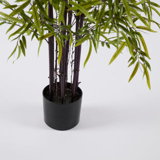 EDG Enzo De Gasperi Bamboo plant with pot H 185cm
