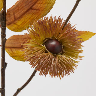 EDG Enzo De Gasperi Set 2 Rami Artificiali di Castagno con Foglie H98 cm