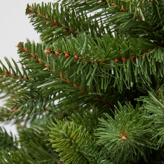 EDG Enzo De Gasperi Pino Argentato Verde H60 cm con Vaso