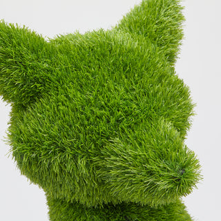 EDG Enzo de Gasperi Decoro Erba Volpe Medio H50 cm