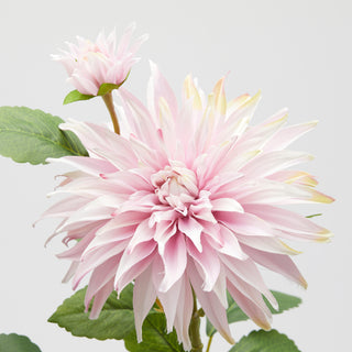 EDG Enzo De Gasperi 2er Set Dahlienzweige mit Blättern und Knospe H 80 cm Hellrosa