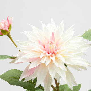 EDG Enzo De Gasperi 2er Set Dahlienzweige mit Blättern und Knospe H 80 cm Hellrosa