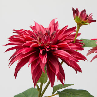 EDG Enzo De Gasperi Set of 2 Dahlia Branches with Leaves and Bud H 80 cm Dark Pink