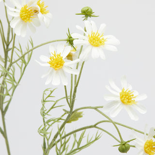 EDG Enzo De Gasperi Ramo Camomilla con Foglie H70 cm Bianco