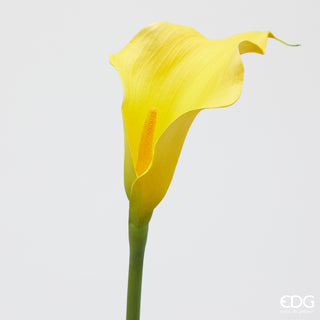 EDG Enzo De Gasperi Ramo di Calla Fiorito H65 cm Giallo