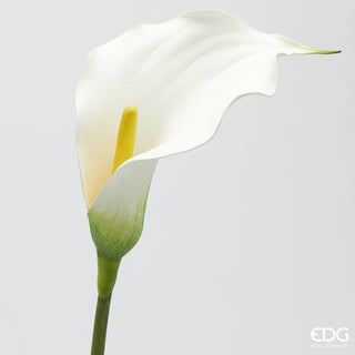 EDG Enzo De Gasperi Ramo di Calla Fiorito H75 cm Bianco