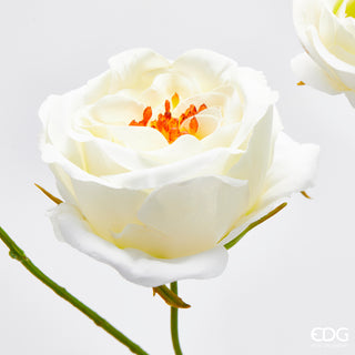 EDG Enzo De Gasperi Ramo Rosa con Foglie H100 cm Bianco