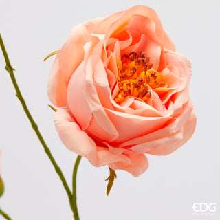 EDG Enzo De Gasperi Ramo Rosa con Foglie H100 cm Salmone