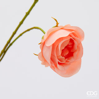 EDG Enzo De Gasperi Ramo Rosa con Foglie H100 cm Salmone
