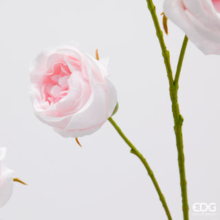 EDG Enzo De Gasperi Ramo Rosa con Foglie H100 cm Rosa