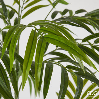EDG Enzo De Gasperi Künstliche Chamadorea-Palme mit Topf, H 170 cm