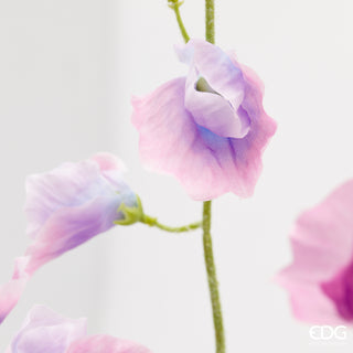 EDG Enzo De Gasperi Set of 4 Sweet Pea Branches H 90 cm